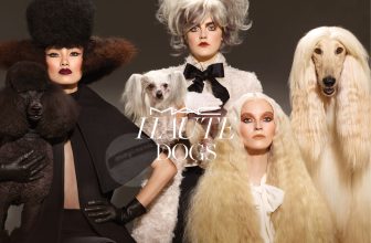 MAC Haute Dogs Collection 2015