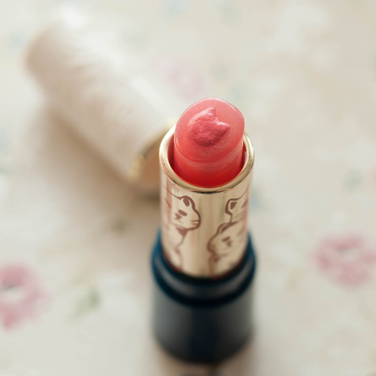 Paul & Joe Katzenlippenstift nach Auftrag & Swatches...