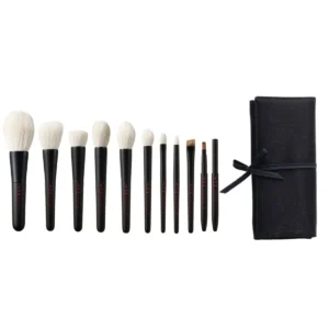 CHIKUHODO TS10 Takumi Series 10 Piece Brush Set