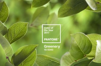 PANTONE Colour of the Year 2017 Greenery Ambient