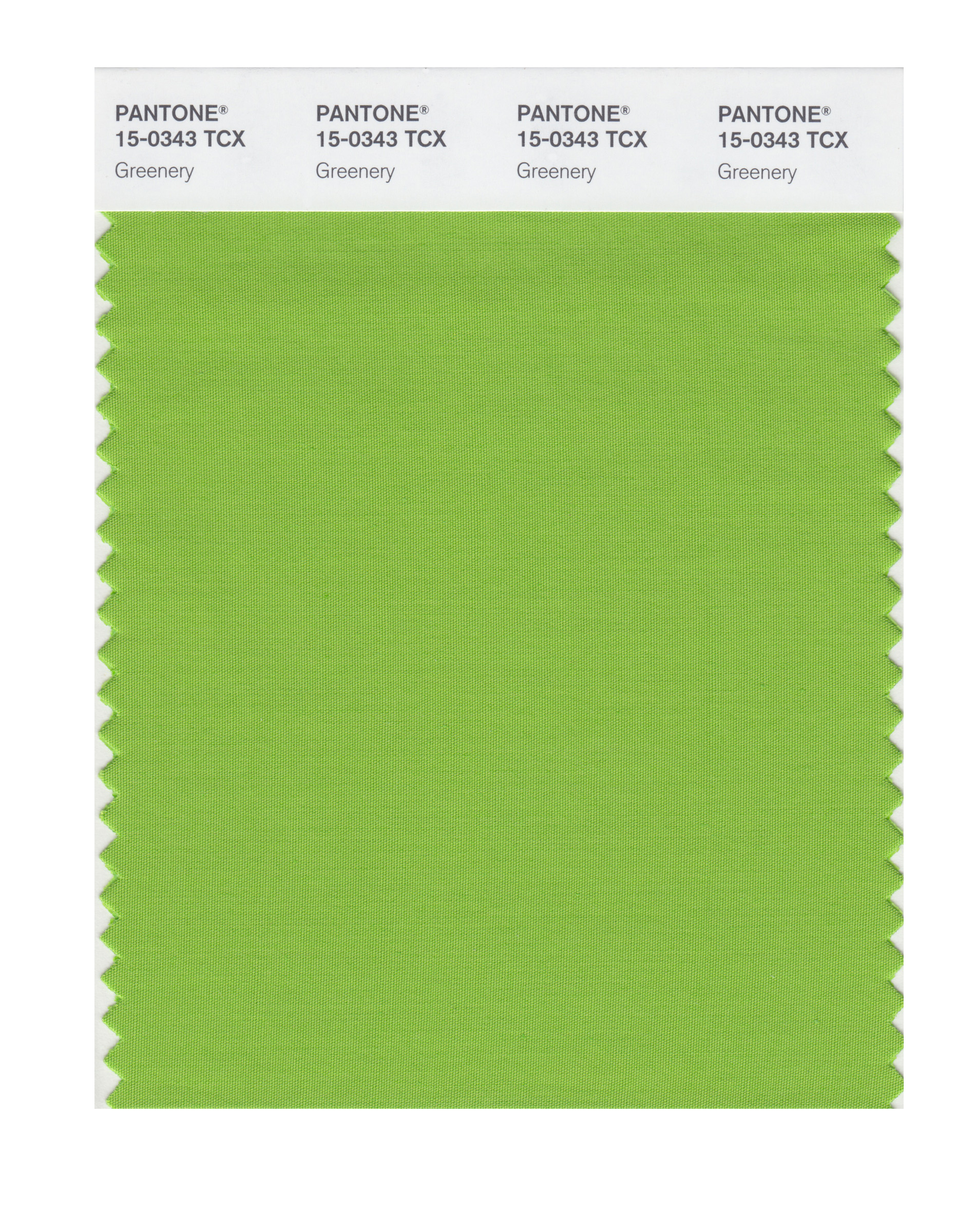PANTONE Colour of the Year 2017 Greenery Swatch