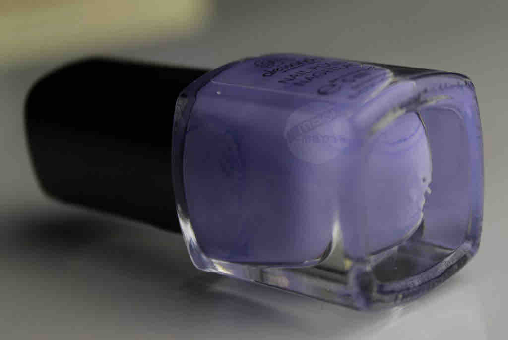 ALESSANDRO On Tour 544 (2)