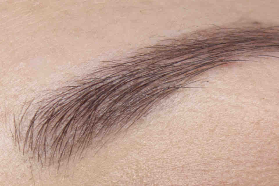 ARTDECO Dita von Teese Eye Brow Gel Mink vs BEYU Augenbrauengel