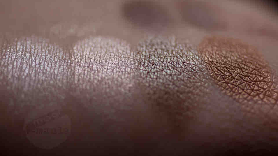 ARTDECO Glam Couture Eyeshadow Swatches