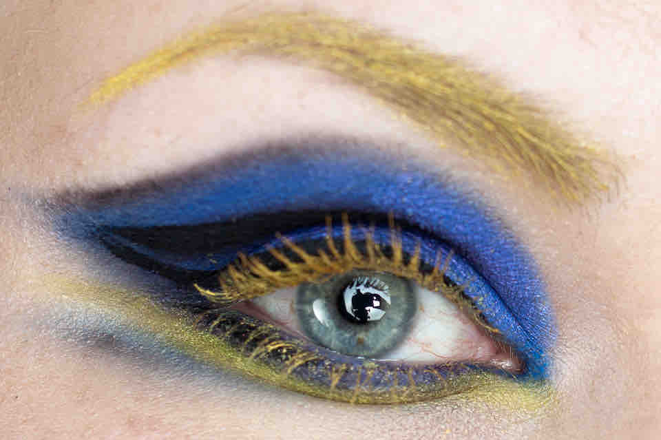 Magi's Fishy Look: Paletten-Doktorfisch Magi's Fishy Look: Paletten-Doktorfisch