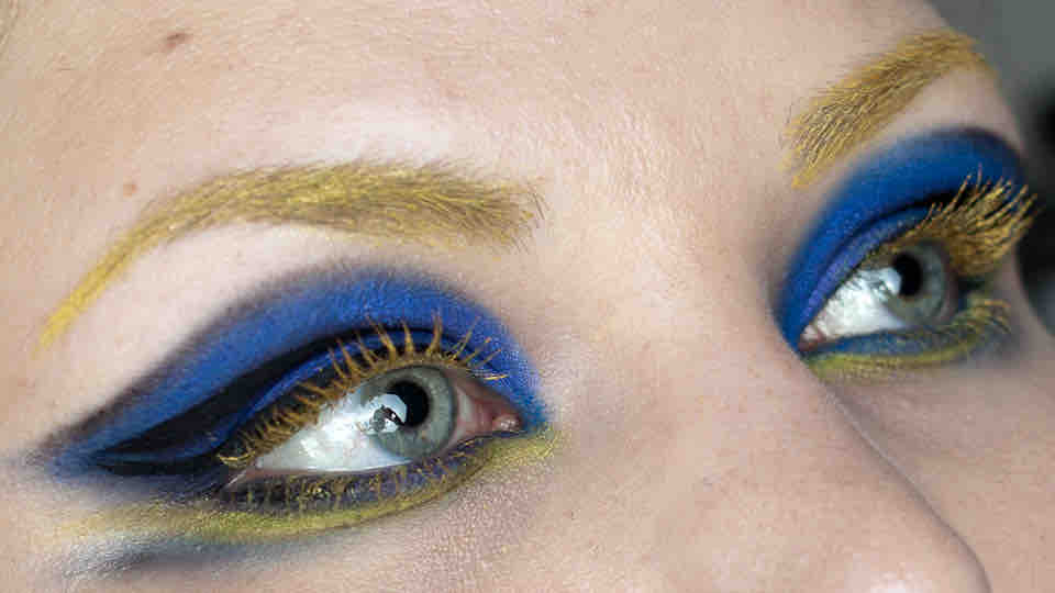 Magi's Fishy Look: Paletten-Doktorfisch Magi's Fishy Look: Paletten-Doktorfisch