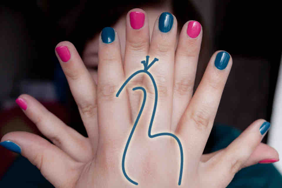 DIOR Vernis Bahia Duo - Nail Polish - Bird of Paradise Pfau