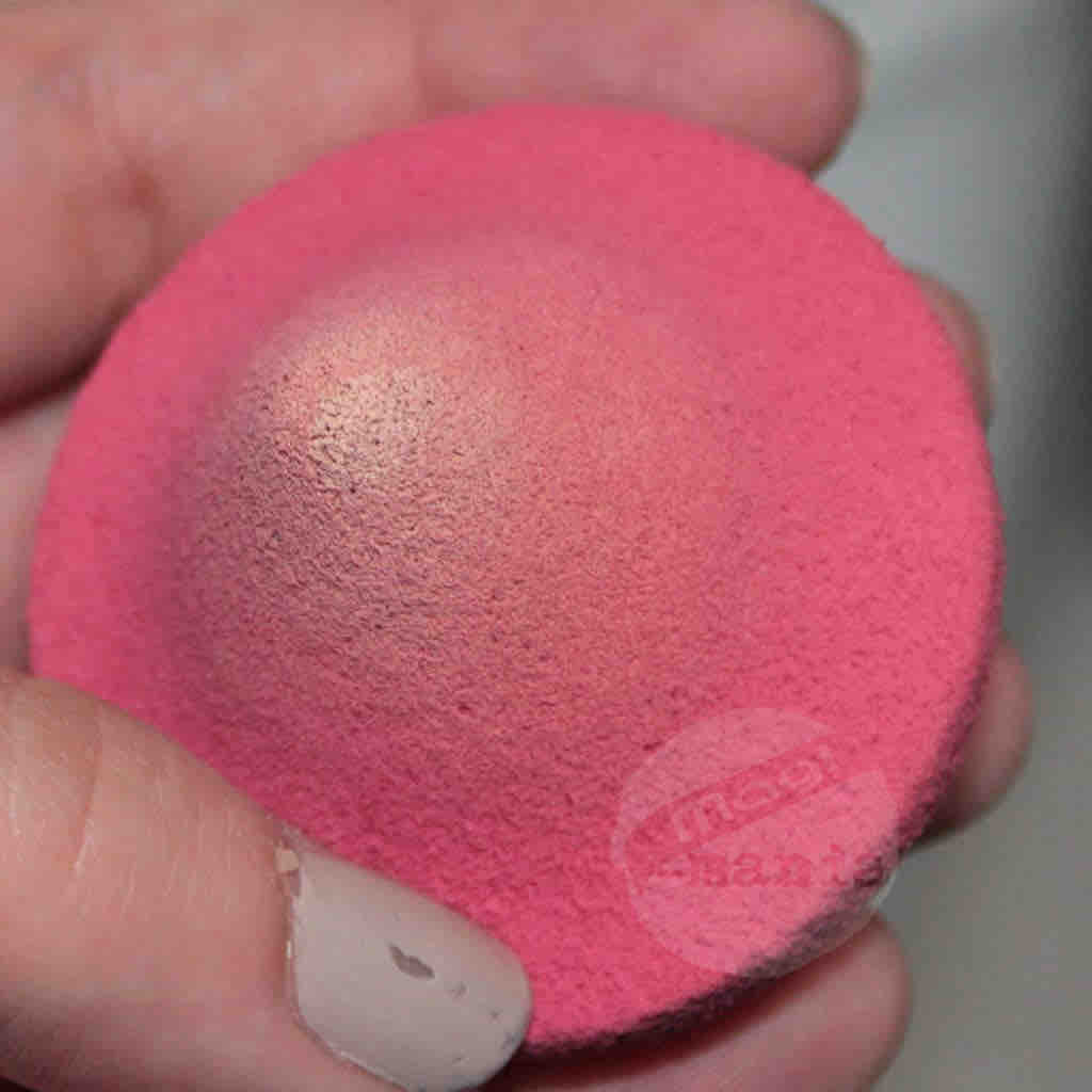 MAC Pro Performance Sponge (4)