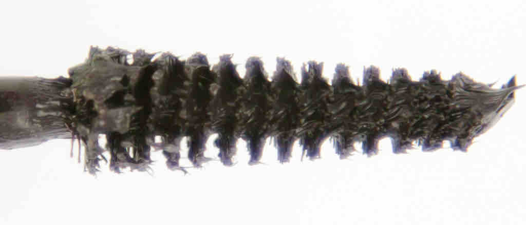 MANHATTAN Eyemazing Volume Mascara Spirale MANHATTAN Eyemazing Volume Mascara Spirale