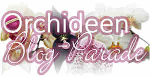 Orchideen-Blog-Parade