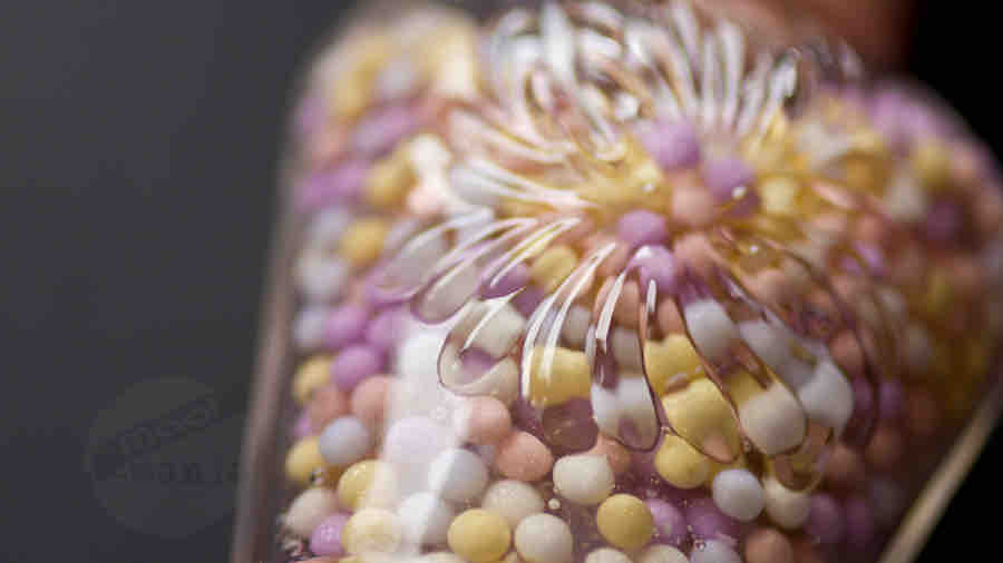 PAUL & JOE Bonbon Pearl Foundation Primer