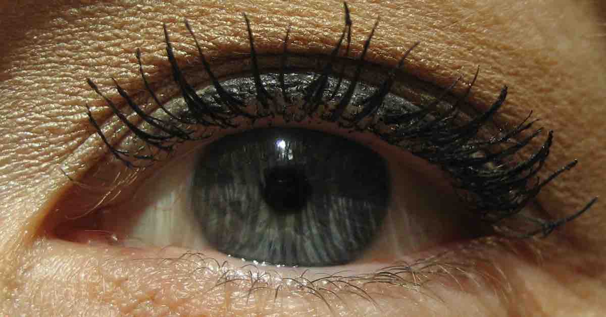 benefit_Wimpern
