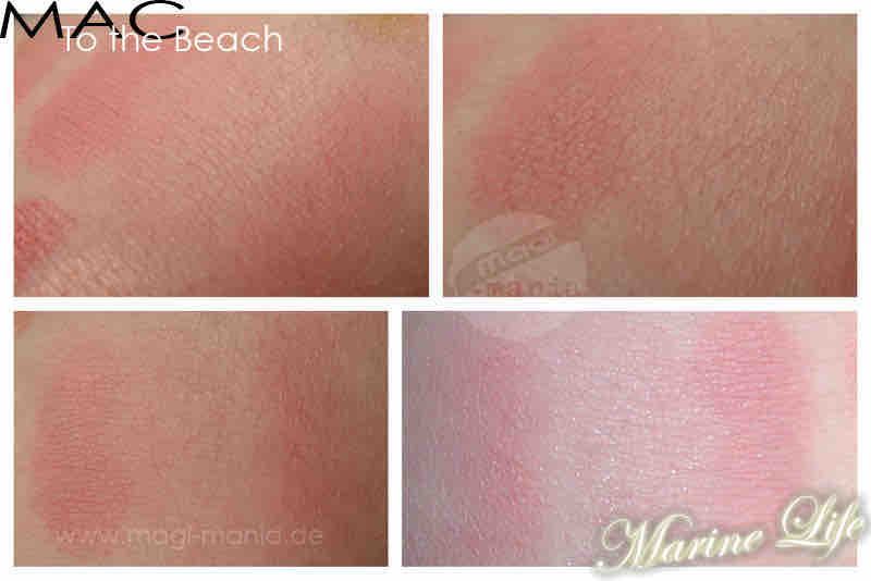 mac-to-the-beach-marine-life