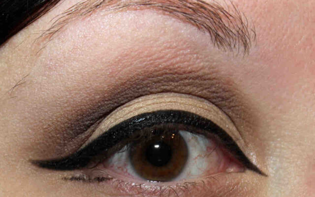 mehr Panther (unteres Lid)