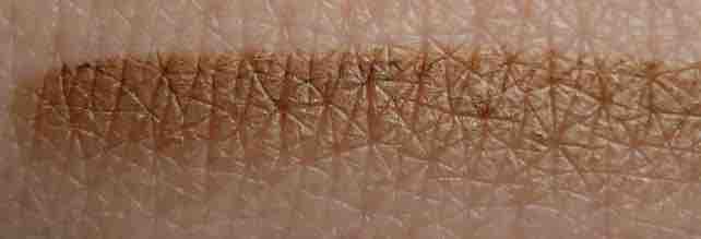 p2_Eyebrow Express_010 Stylish Blond_Swatch