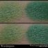 HELEN E. Cosmetics Makeup