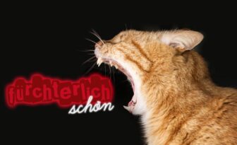 Halloween Makeup Tutorials, die man auch ohne Party-Pläne kennen sollte